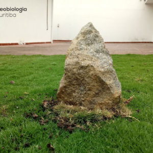 Geobiologia em Curitiba